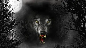 Ferocious Angry Wolf In The Wild Wallpaper