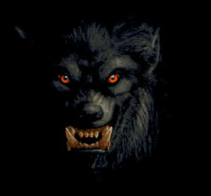 Ferocious Wolf Attack In The Wild Wallpaper