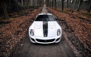 Ferrari 599 Gtb Fiorano In Action Wallpaper