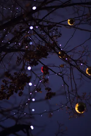 Festive Christmas Lights Trailing On Bare Branches Wallpaper