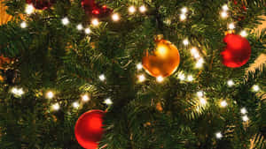 Festive_ Christmas_ Tree_ Lights_and_ Ornaments.jpg Wallpaper