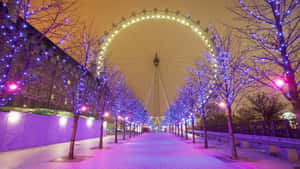 Festive Lights Ferris Wheel Promenade.jpg Wallpaper