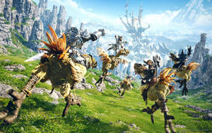 Ff14 Golden Ostrich In The Valley Wallpaper