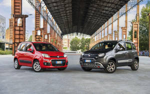 Fiat City Cross And Panda Cross Wallpaper