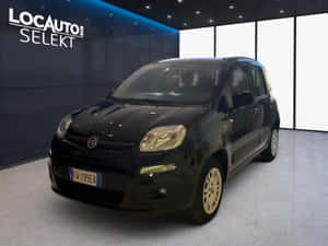 Fiat Panda In A Natural Setting Wallpaper