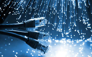 Fiber Optic Cablesand Network Connectivity Wallpaper