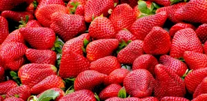 Fictional Futuristic Alps Wallpaper