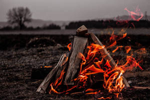 Field Bonfire Cool 4k Wallpaper