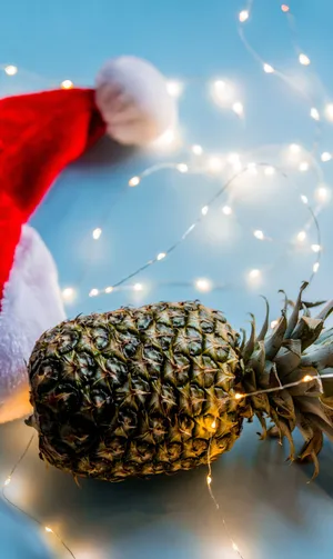 Field Of Lavender In Spring Wallpaper