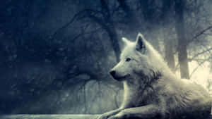 Fierce 3d Wolf Stares Intensely Against A Cosmic Background Wallpaper