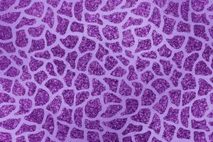 Fierce And Fabulous Wallpaper