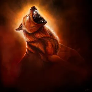 Fierce Angry Wolf In A Dark Forest Wallpaper