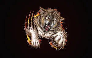 Fierce Angry Wolf In The Wild Wallpaper