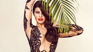 Fierce Jacqueline Fernandez Wallpaper