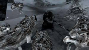 Fierce Wolf Attacking In Wild Nature Wallpaper