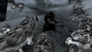 Fierce Wolf Attacking In Wild Nature Wallpaper