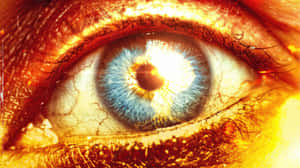 Fiery Gaze Eye Closeup Wallpaper