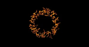 Fiery Letter O Artwork Wallpaper