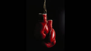 Fight To Victory With Cool Boxing Wallpaper