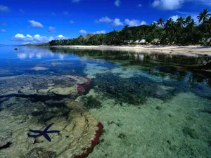 Fiji Seabed Under Clear Waters Wallpaper