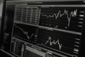 Financial Market Monitor Display Wallpaper