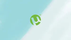 : Find Content You Need Faster With Torrent Wallpaper