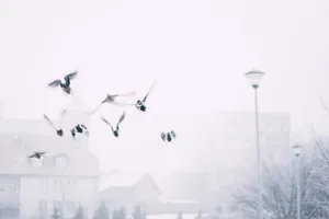 Find Peace And Relaxation In Nature Wallpaper