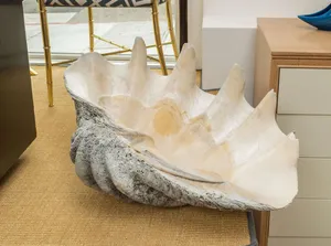 Find Solitude In The Clam Shell Wallpaper