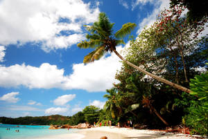 Find Tranquility And Relaxation At This Beach Resort Surrounded By The Beauty Of Nature. Wallpaper