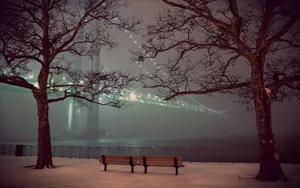 Find Your Tranquility In Nature Wallpaper