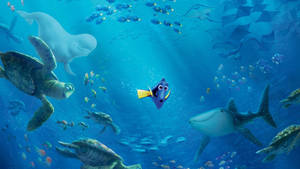 Finding Nemo Dory With Sea Creatures Wallpaper