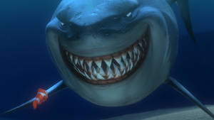 Finding Nemo Great White Shark Bruce Wallpaper