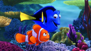 Finding Nemo Main Characters Wallpaper