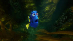 Finding Nemo Scene With Dory Wallpaper