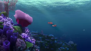 Finding Nemo Tropical Fish Wallpaper