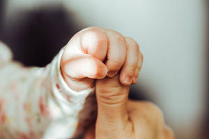 Finger Grasp By Baby Hd Wallpaper