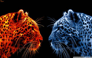 Fire And Ice Cheetah Wallpaper