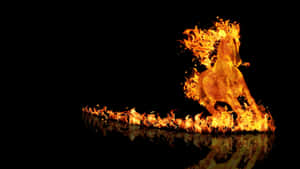 Fire Horse Symbolism Wallpaper