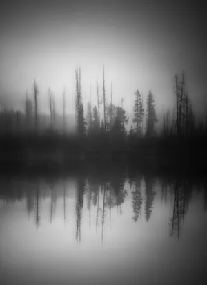 Fisheye View Of A Placid Lake Wallpaper