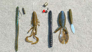 Fishing Bait 1920 X 1080 Wallpaper Wallpaper