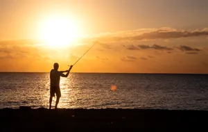 Fishing Rod On Wooden Dock At Sunset Wallpaper