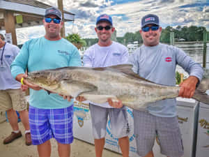 Fishing Tournament Cobia Catch Wallpaper