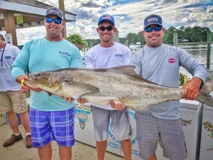 Fishing Tournament Cobia Catch Wallpaper