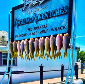 Fishing Trip Catch Yellowtail Snapper Wallpaper