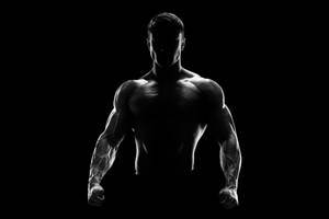 Fitness Body Builder Illustrations Wallpaper