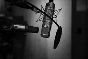 Fl Studio Mic Condenser Wallpaper