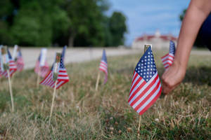 Flaglets For Remembrance Day Wallpaper