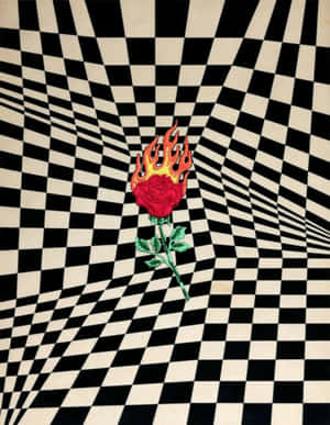 Flaming Roseon Checkered Background Wallpaper