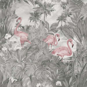 Flamingos In The Jungle Wallpaper Wallpaper
