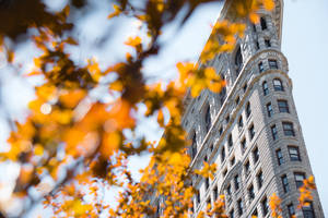 Flatiron Building Nyc Aesthetic Wallpaper